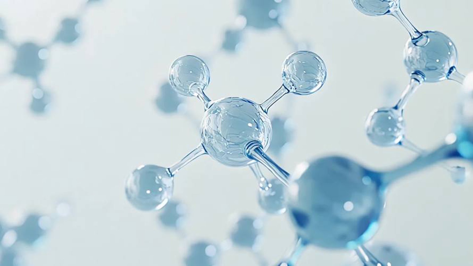 甲院长生物科技